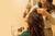 How to Grow Out Your Hair: Tips for Stronger, Faster Growth