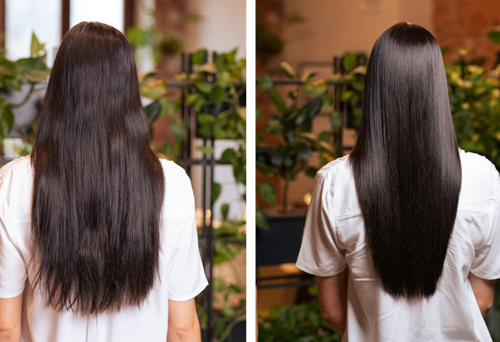 Discover our New Hydrating Shine Treatment