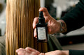 Bronde Hair: The Best of Blonde and Brunette in One Colour