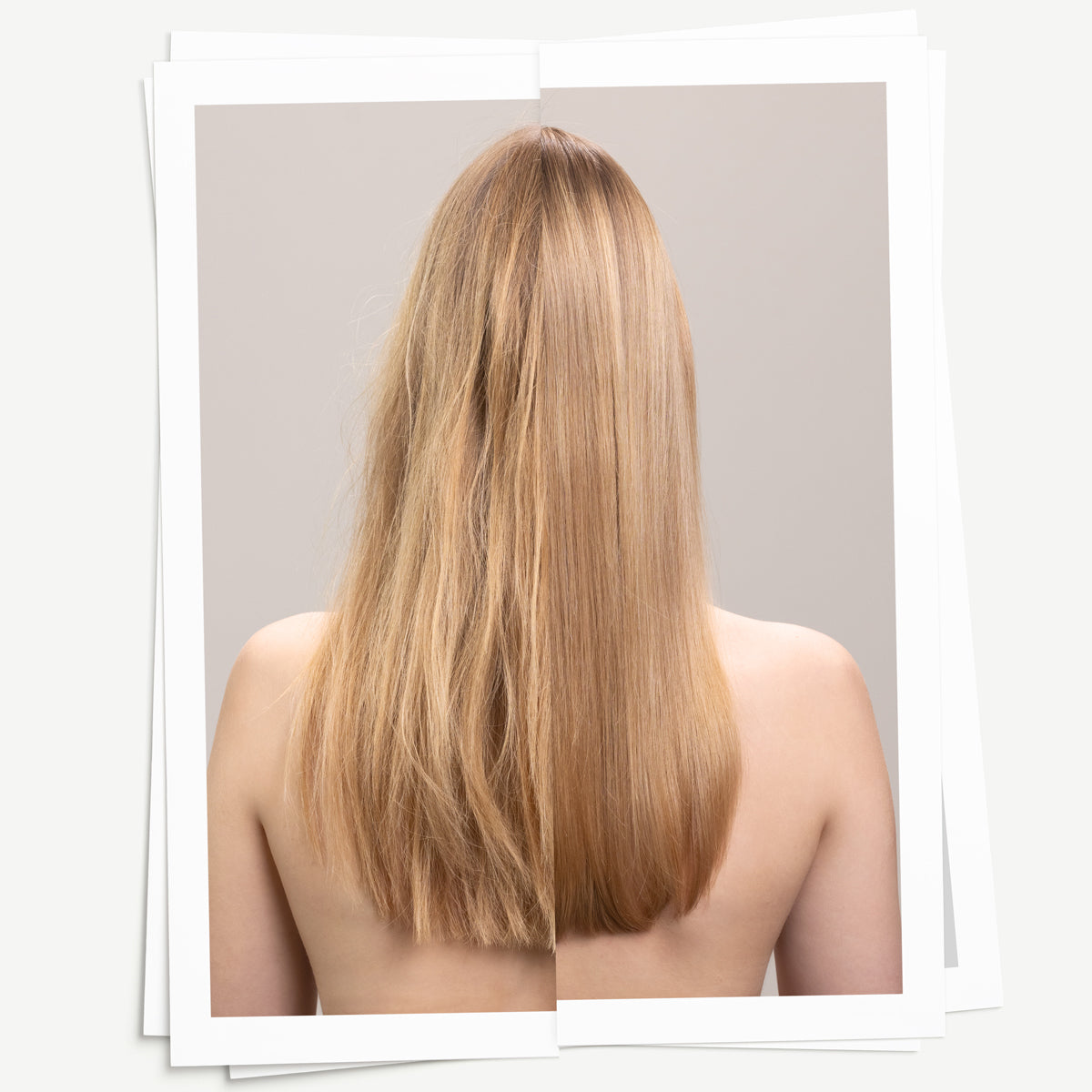 Translation missing: en.products.general.vendor: ESSENTIAL HAIRCARE NOUNOU Shampoo  Nourishing Shampoo, gently cleanses highly processed or brittle hair -100x.jpg?v=1753206353
