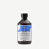 REBALANCING Shampoo Rebalancing shampoo for scalps with sebum hyper-production. 250 ml  Davines
